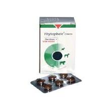 Phytophale Chiens 30tabl. środek moczopędny dla psów